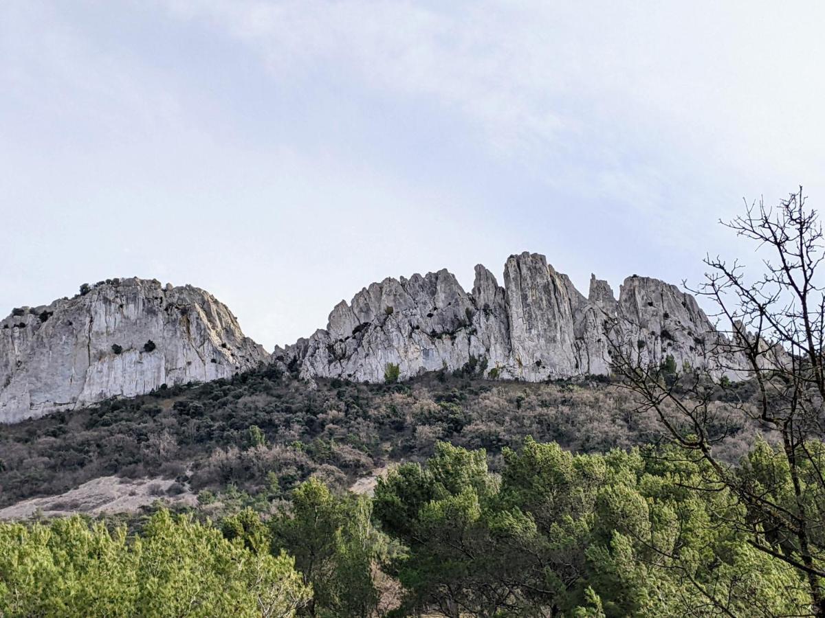 Maisonnette Dans Domaine Avec Piscine A Nyons, Pays Des Olives エクステリア 写真